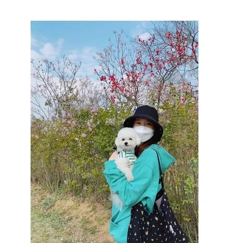 王漫妮同款包包帆布包搭配,王漫妮同款包拼接