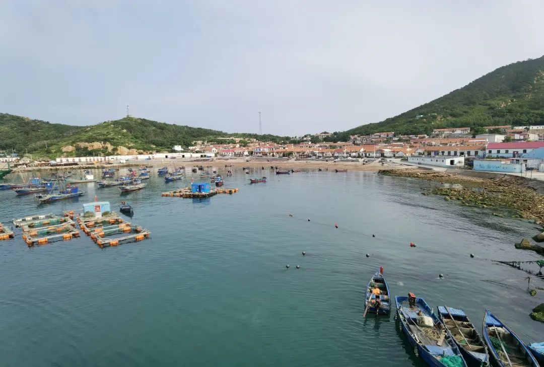 直播|云出海！海洋预报小姐姐带你踏海寻仙境