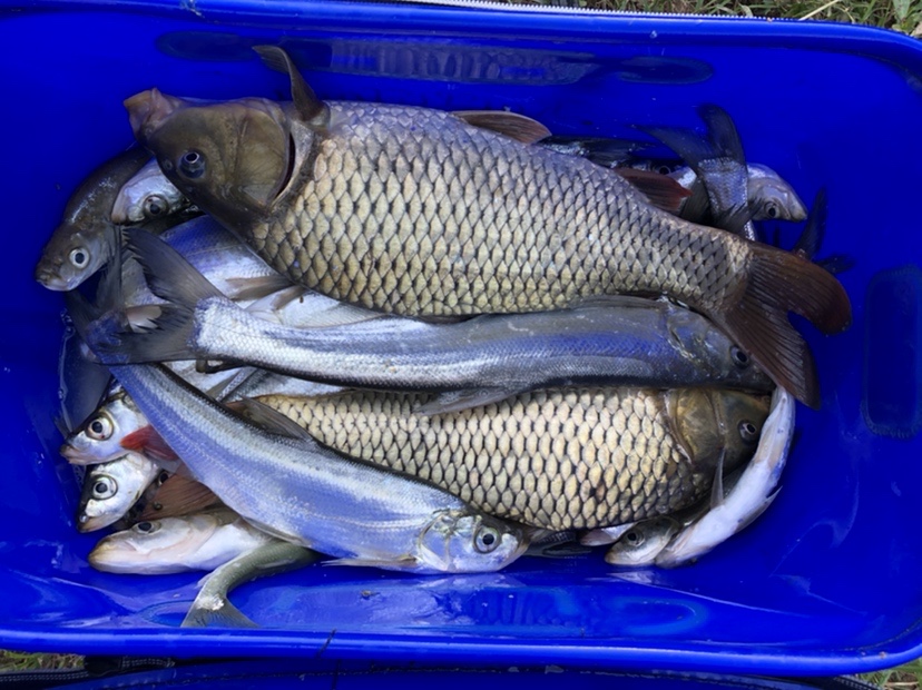 雷打滩水电站钓棚图片,雷打滩水电站钓鱼棚电话