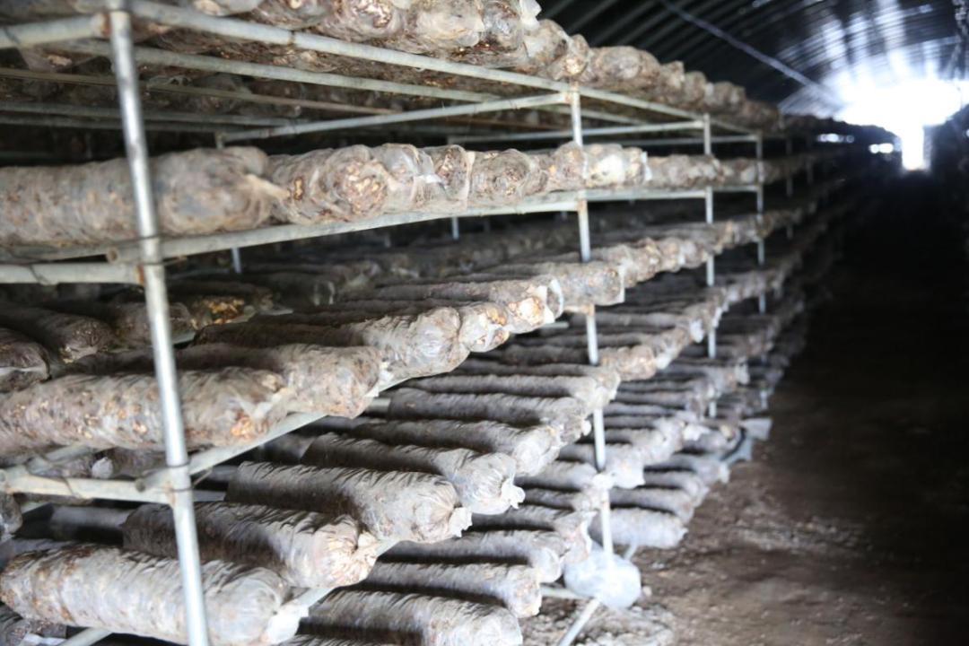 鹤鸣湖边哪个村最好,鹤壁鹤鸣湖周边古村落