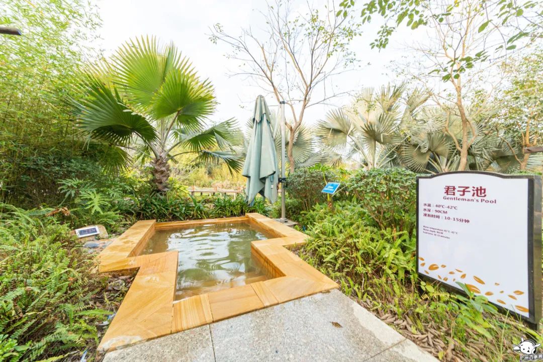 泰国泼水节旅行,旅行泰国泼水节