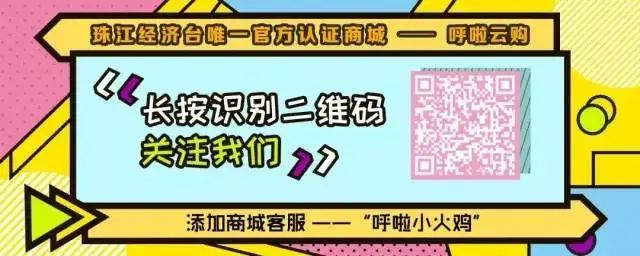 grt今日关注主持人,grt直播广东