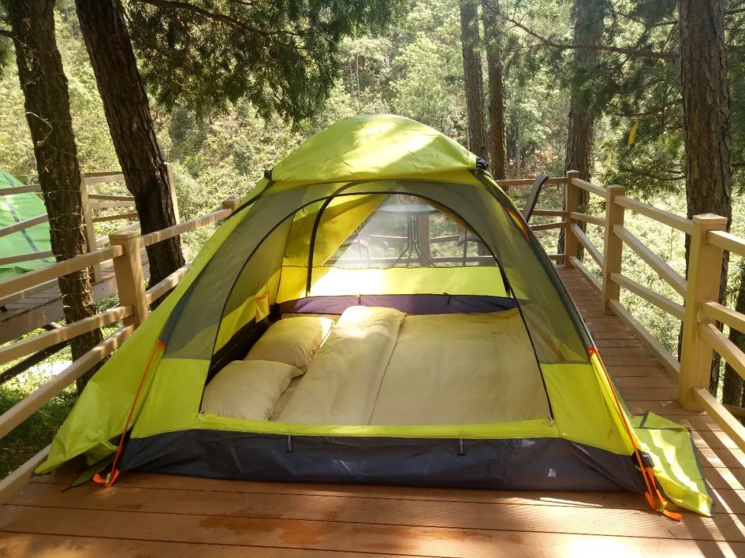 石屏龙韵养生谷干巴菌,云南石屏龙朋干巴菌节