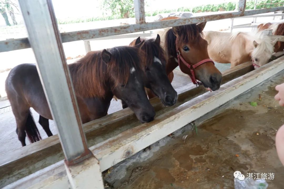泡温泉爬山休闲的好去处,泡温泉沙雕