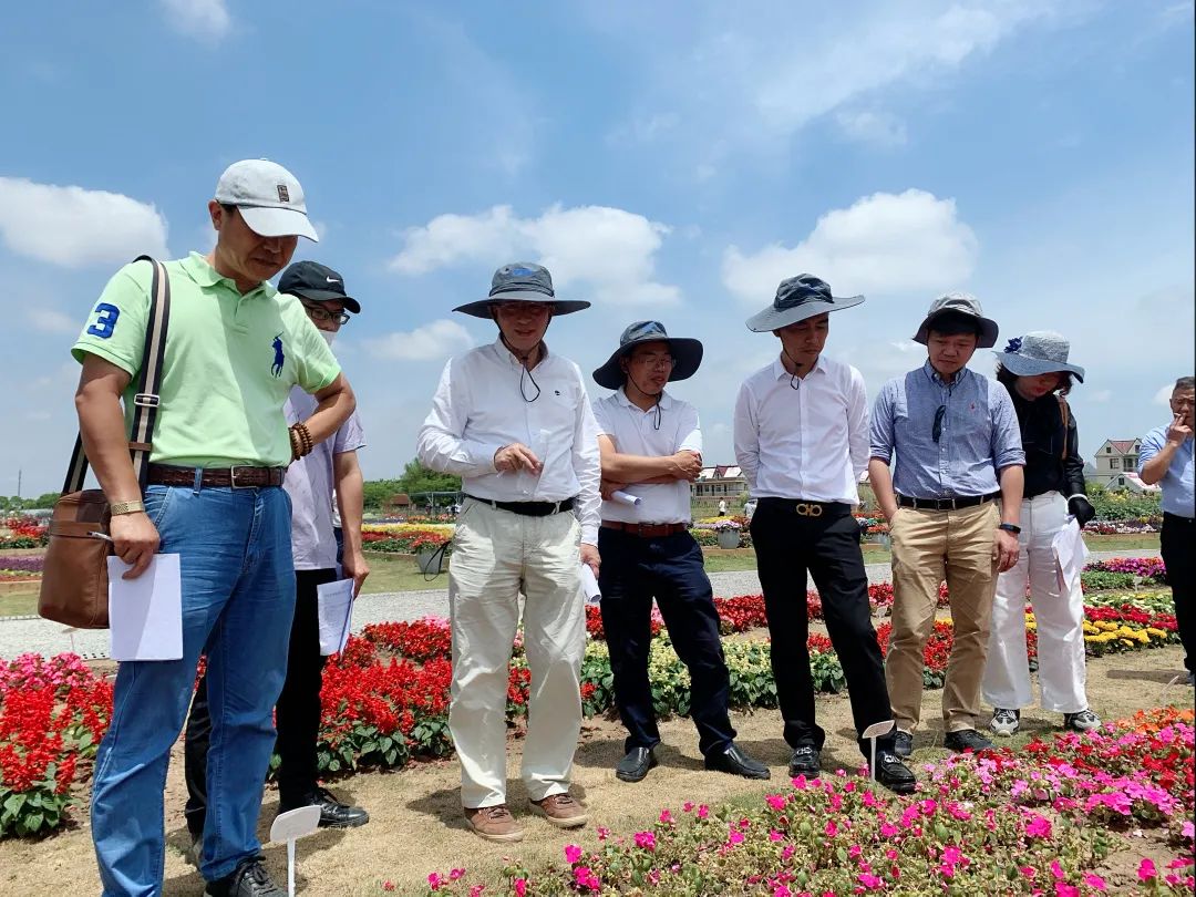 崇明岛比赛直播,上海崇明赛事视频