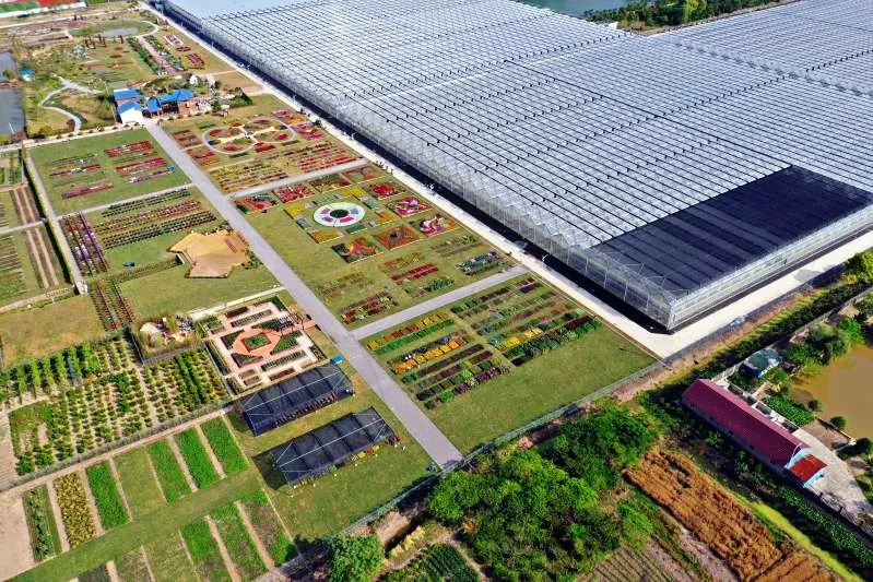 崇明岛比赛直播,上海崇明赛事视频