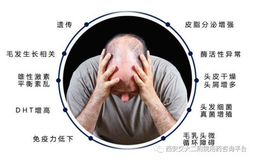 秃如其来如何拯救,秃如其来如何拯救我们的头