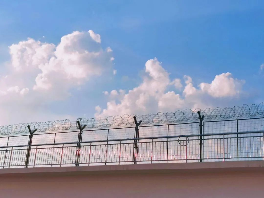 缇庡憜鑻辨枃,缇庡憜