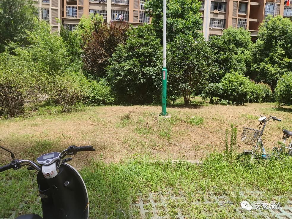 小区堵车物业处理不了,小区内经常堵车怎么投诉物业