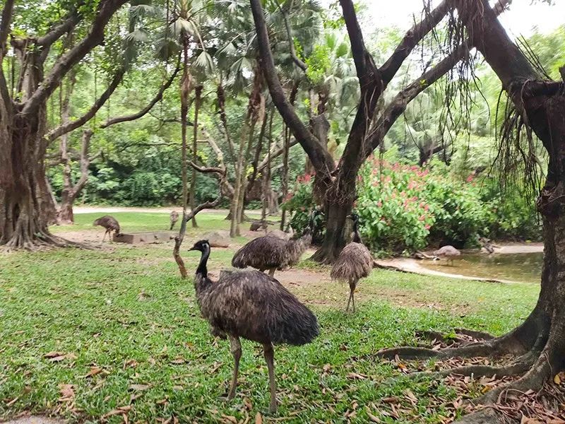 长隆乐园欢乐世界,广州长隆游玩注意事项