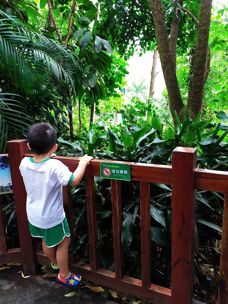 长隆乐园欢乐世界,广州长隆游玩注意事项