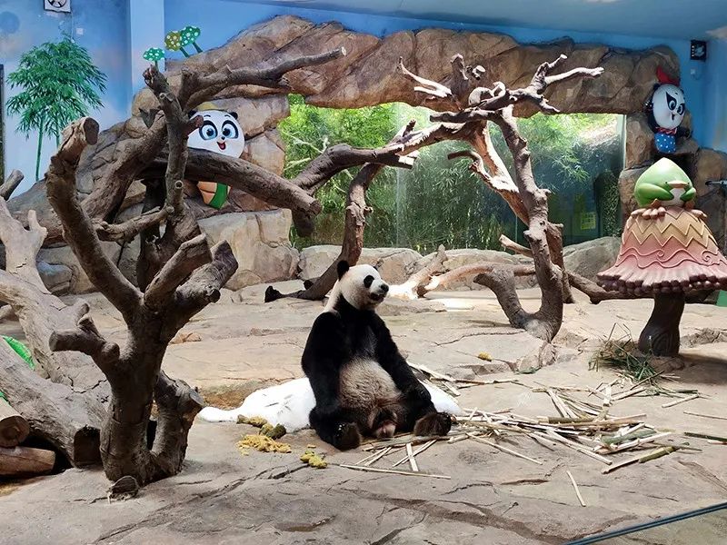 长隆乐园欢乐世界,广州长隆游玩注意事项