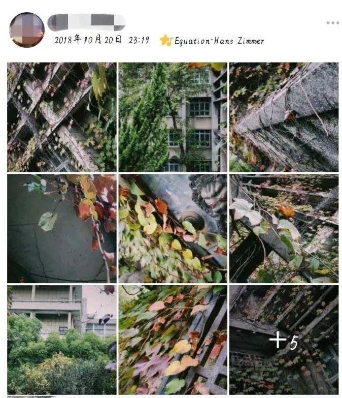 在华师可以学什么,在华东师大读书的体验