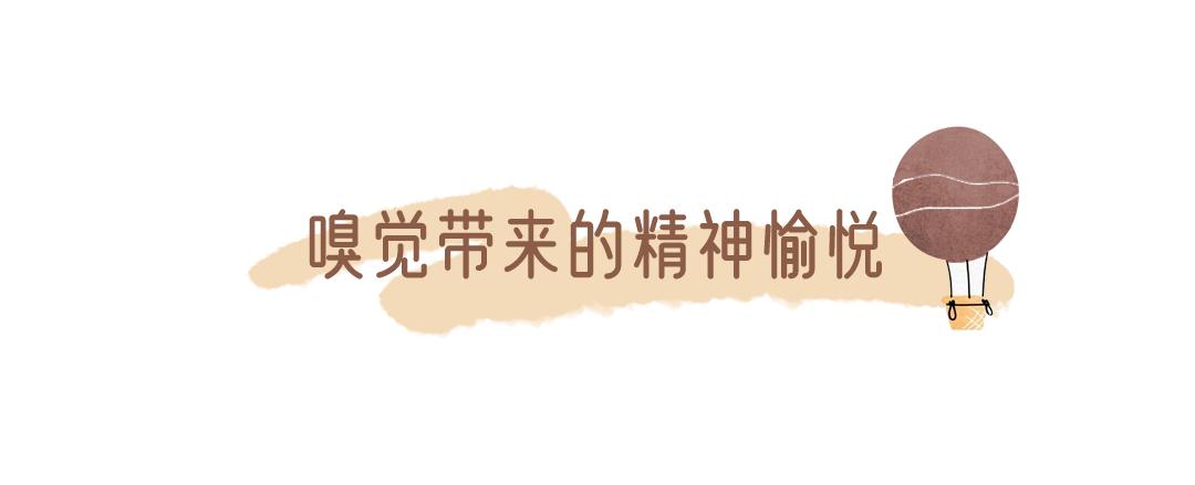 淘宝收藏过的店铺,淘宝以前收藏的店铺