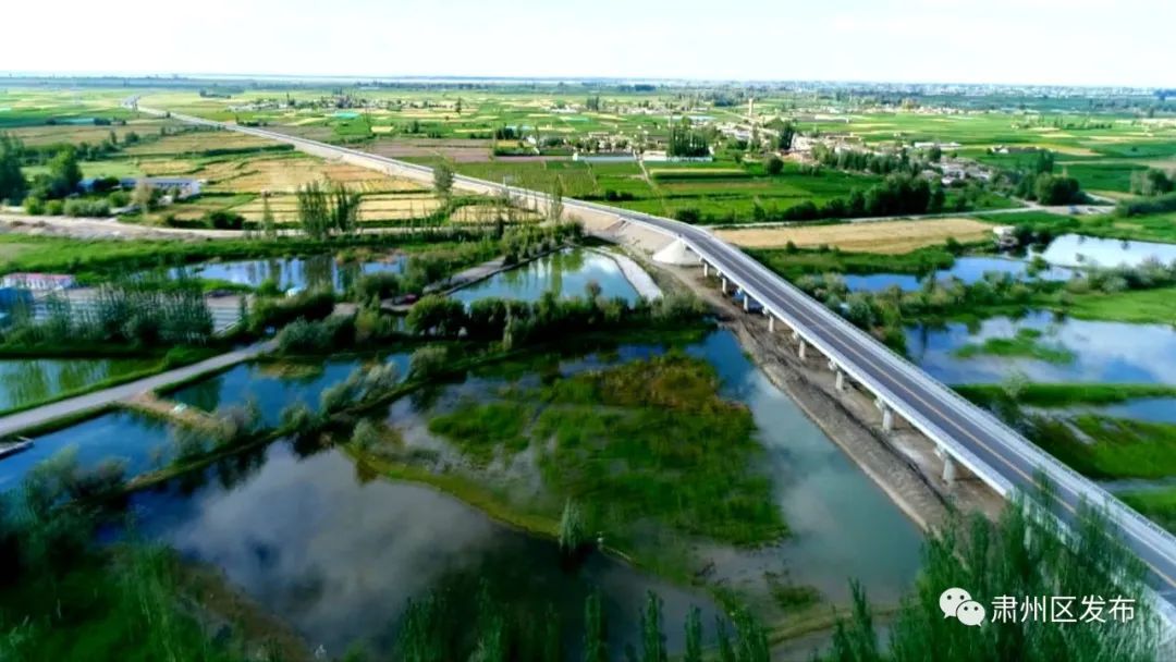 肃州区多措并举带动乡村旅游发展,聚焦五大振兴打造乡村振兴样板