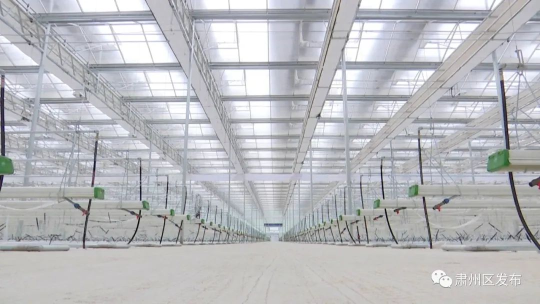 肃州区多措并举带动乡村旅游发展,聚焦五大振兴打造乡村振兴样板