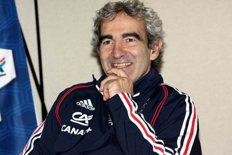 多梅内克世界杯大名单,多梅内克近况