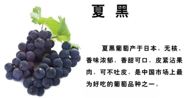 张裕瑞那城堡酒庄葡萄的酿制过程,咸阳张裕瑞那城堡酒庄体验酿酒