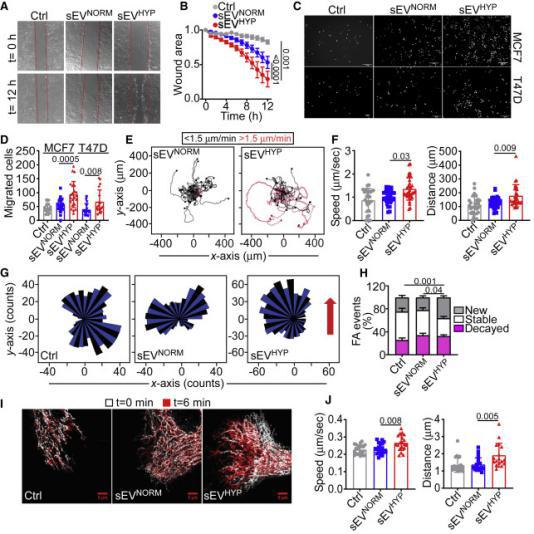 「Cell子刊」乳腺癌细胞利用外囊泡“对话”挟持正常细胞