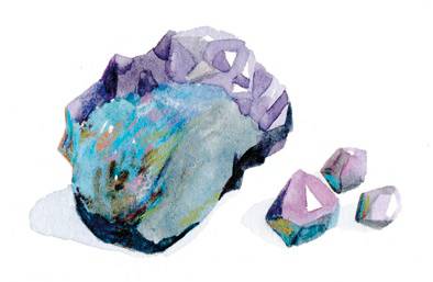 海洋护肤成分,深海植物护肤精粹