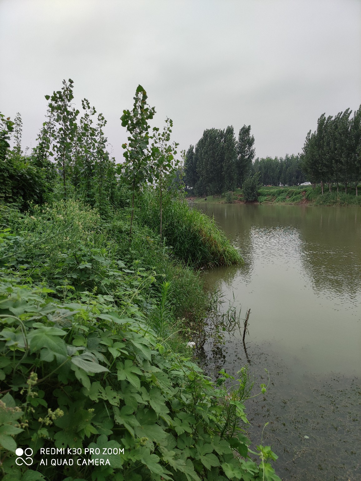 调钓如何快速掌握鱼钩的重量,钓鱼怎么可以增加鱼钩的粘钩性