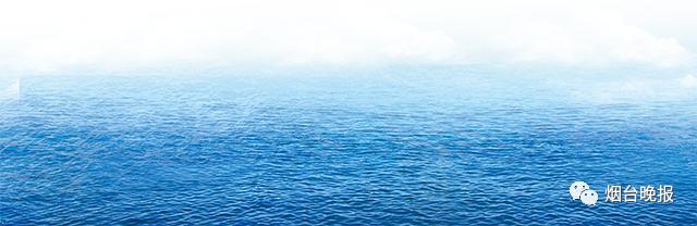 烟台精品野海参多少钱,荣成海洋牧场海参