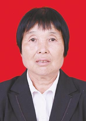 陕西省第六届道德模范颁奖,陕西省第六届道德模范提名奖奖章