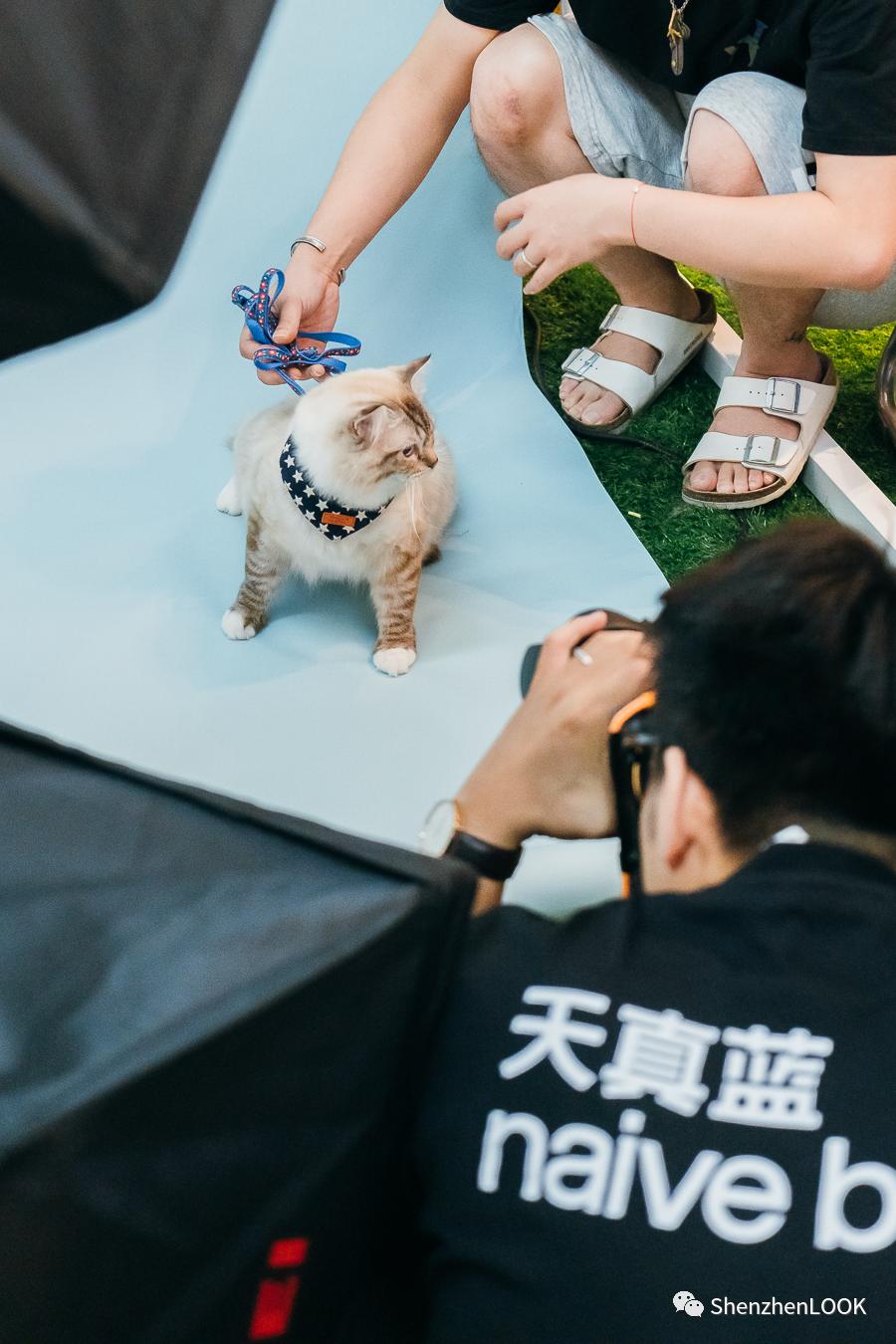 LOOK|海岸城更新·「宠物Mall」限时开放