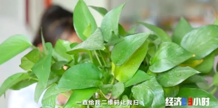 发500返1000?注意了,这种新*局骗**专挑孩子下手