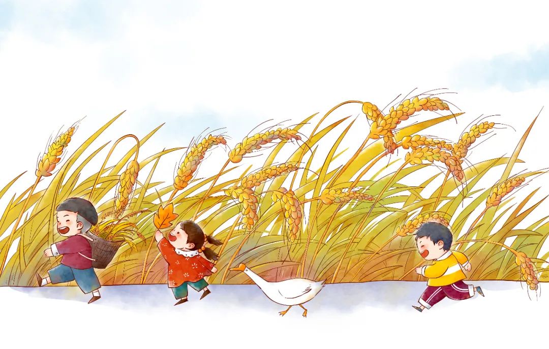 泉州市区又一所名校发出招生预警,泉州最新小学招生头条