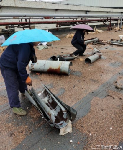 对抗“巴威”，他们竟然“拴”大树、电梯停运、连夜清理铁皮