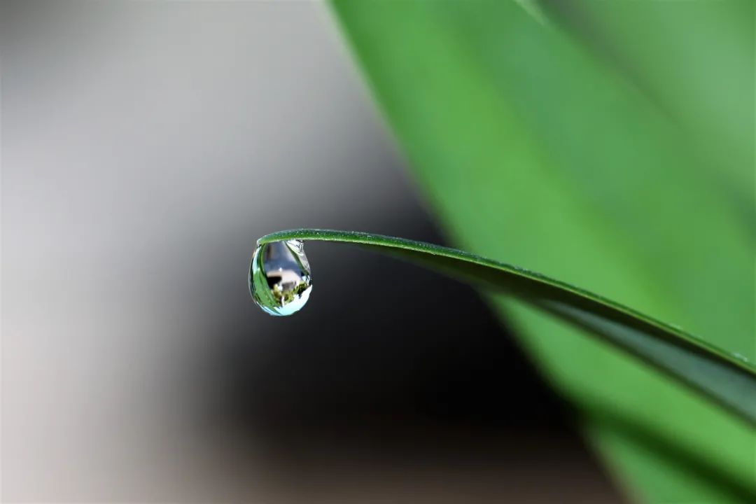 绝经激素治疗可以保护乳腺吗,绝经激素治疗与乳腺癌的关系