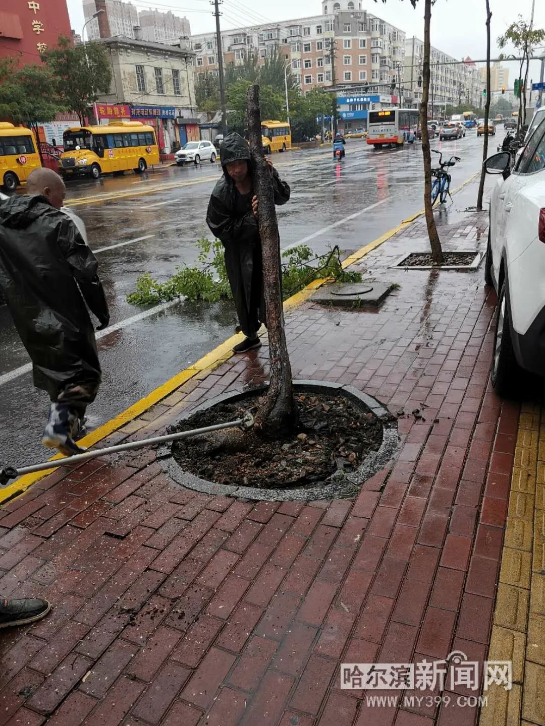“巴威”到哈即“停编”，但是暴雨没完丨有站点累计降水量超70毫米