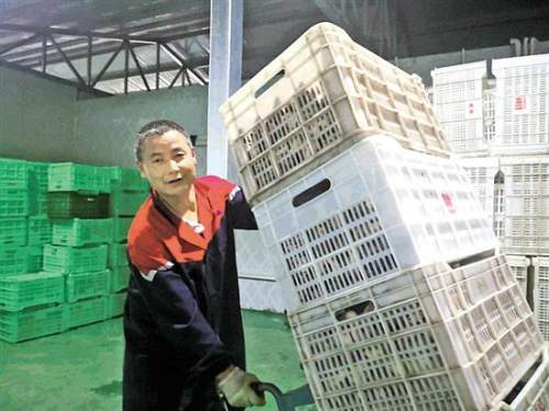 香菇小镇扶贫手册,香菇扶贫基地开建