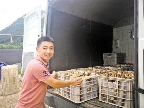 香菇小镇扶贫手册,香菇扶贫基地开建