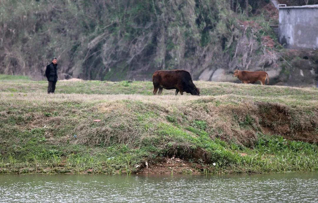 风雅钱塘江景,风雅美景图片高清