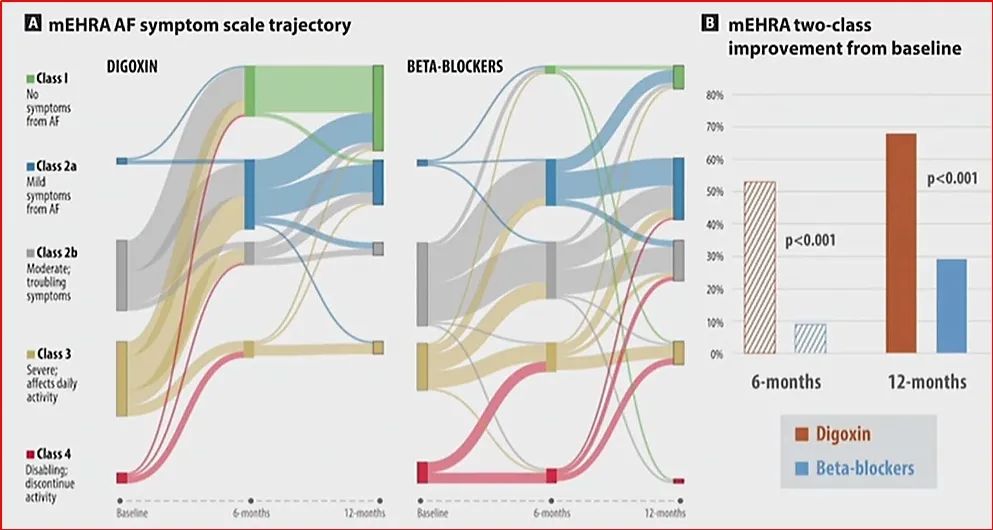 房颤的诊断和评估,永久性房颤心室率控制范围