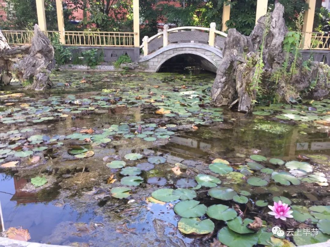 黔西老城记忆70年代,黔西北记忆