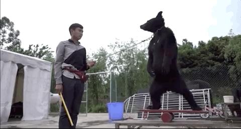 被铁链绑住，注射避孕药，连续伺候几百人后，她挣扎着死去……