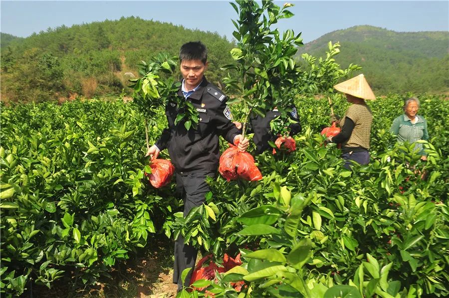 吉安交警方敏军,吉安市政法领导干部