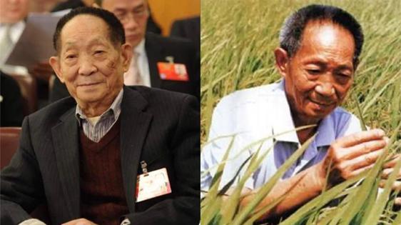 袁隆平三个儿子共生几个孙子孙女,袁隆平和两个孙女合影