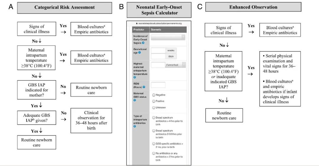 b群链球菌感染小孩几率,b族链球菌感染原因