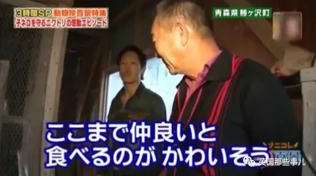 大爷养鸡为吃肉，但却不忍杀鸡。这背后秘密，莫名奇妙可爱