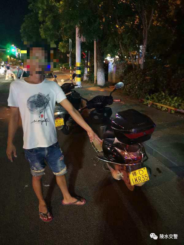 陵水公安交警再曝光酒驾,醉猫被查获