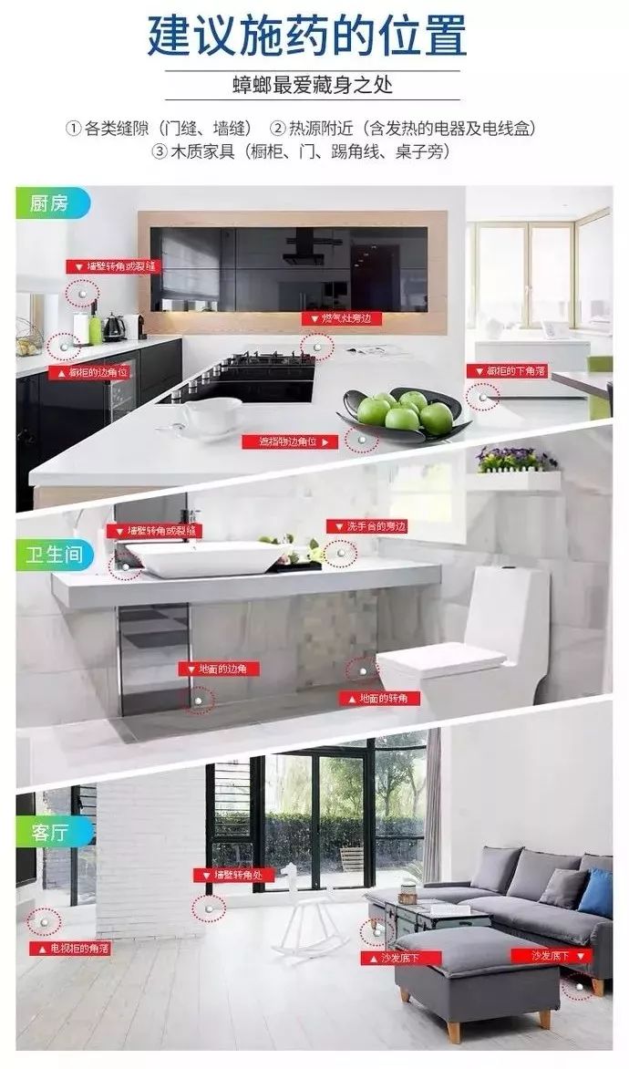 让蟑螂来一只死一窝的方法,蟑螂克星一窝端