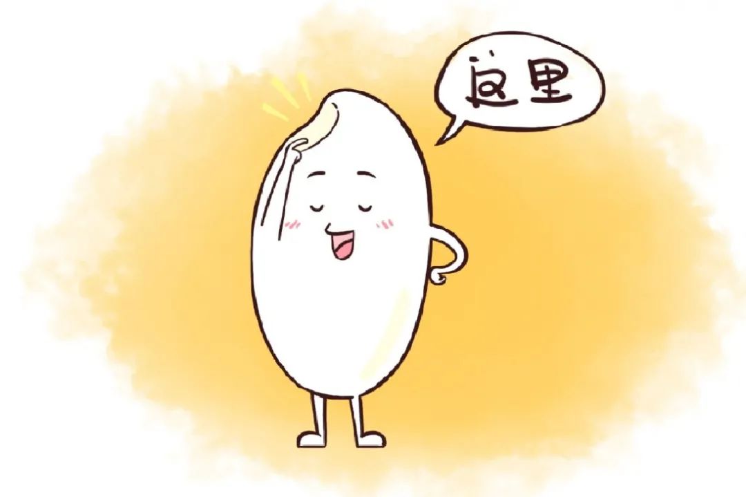 日常如何鉴别大米的好坏,怎么样分辨大米优劣