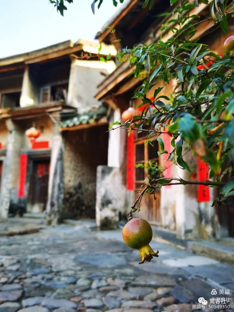 饶平纪行：润丰楼，“一代词宗”詹安泰故居