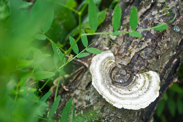 初秋,与神话九寨的浪漫之约