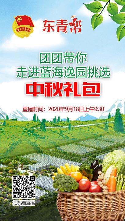 东青帮直播在线观看,东青帮直播在线