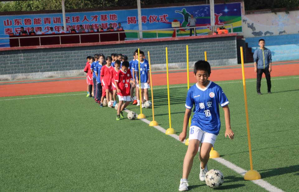 山东鲁能青训学校有多少人,鲁能青训潍坊基地